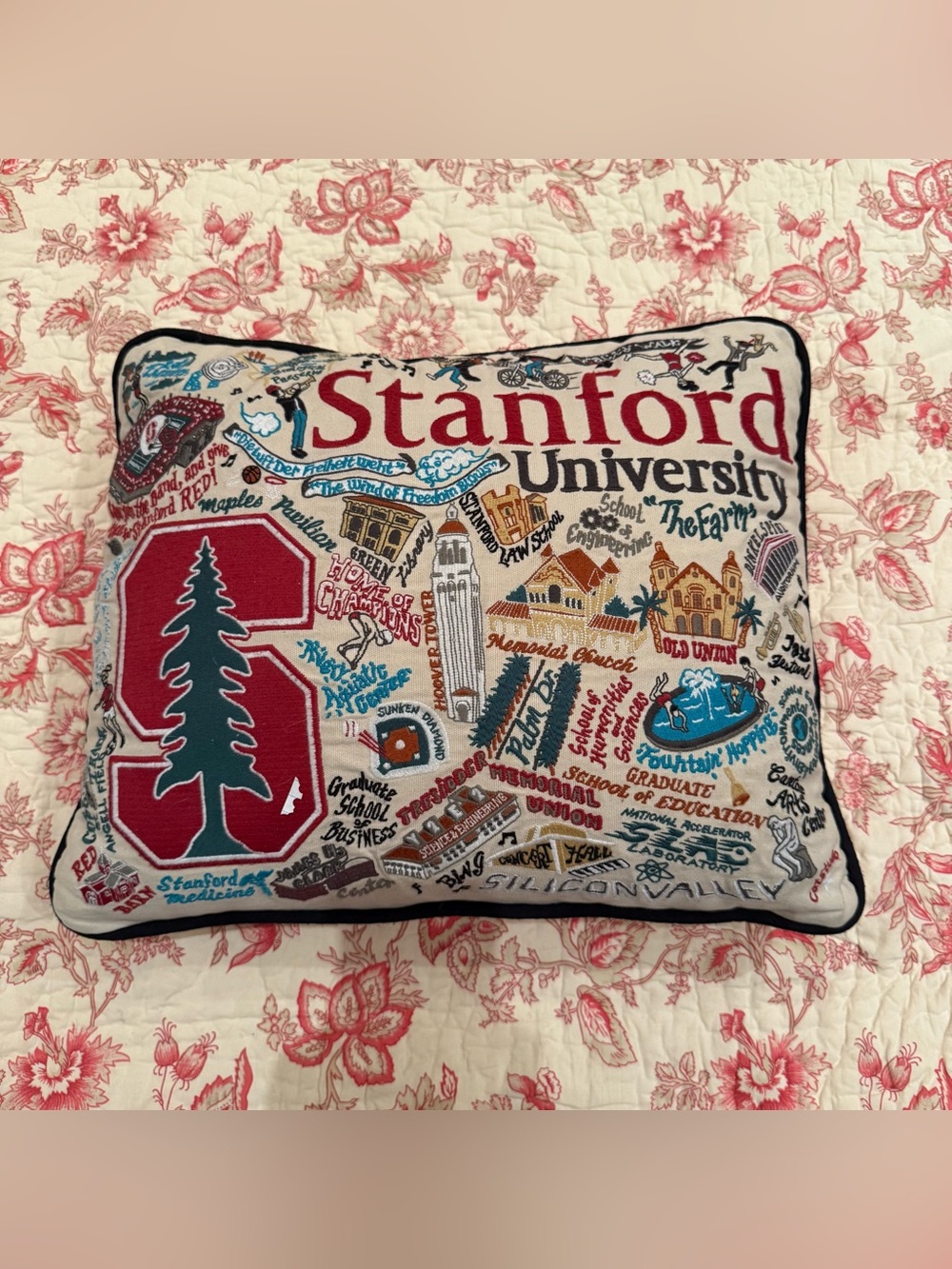Rare Catstudio Fully Embroidered Studio Cream Throw Pillow all over Embroidery